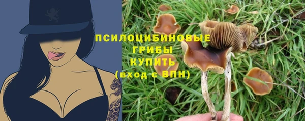 spice Балахна