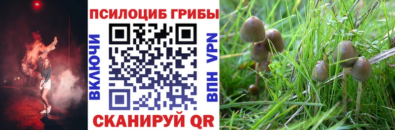 Галлюциногенные грибы ЛСД  цены наркотик  Лаишево 